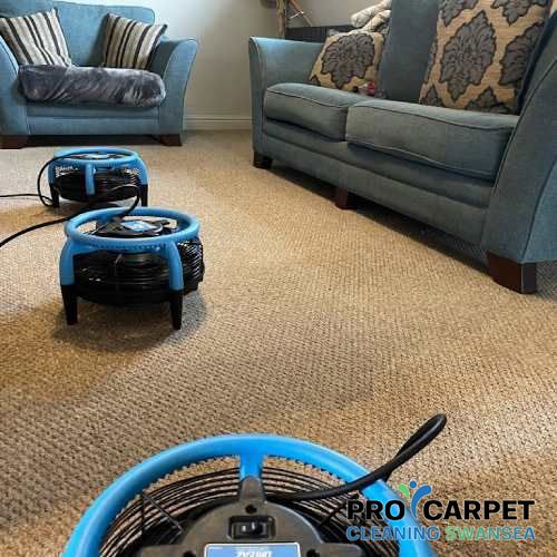 best carpet cleaning swansea