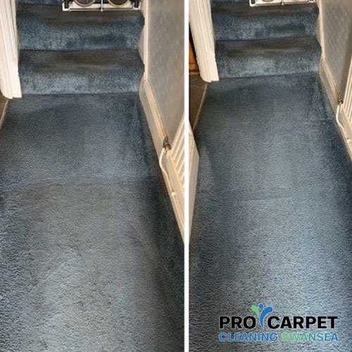 carpet cleaning neath results 2