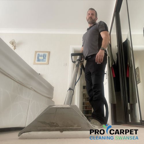 carpet cleaning services