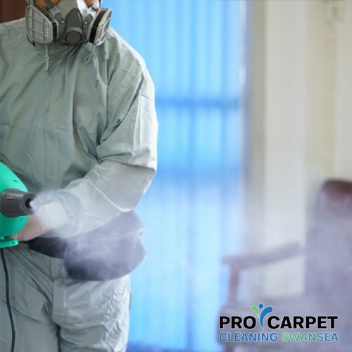 infection control spraying fogging services