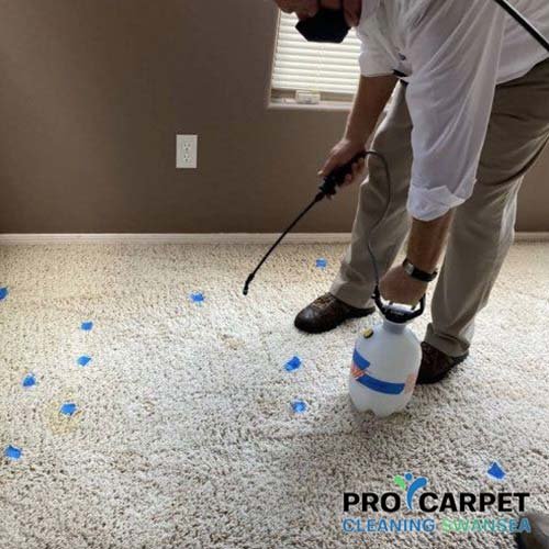 stain removal services 1